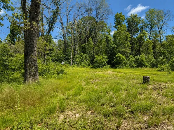 102 E Peoria Ave, Idlewild, MI 49642