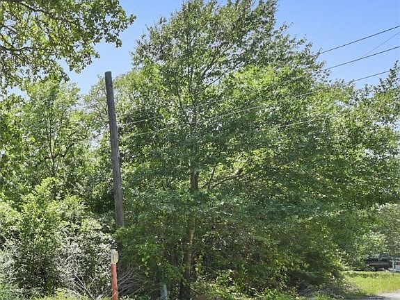 3rd image of 2207 Lobo Dr