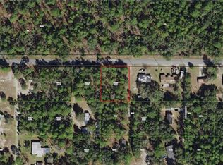 1150 E Ray St, Hernando, FL 34442