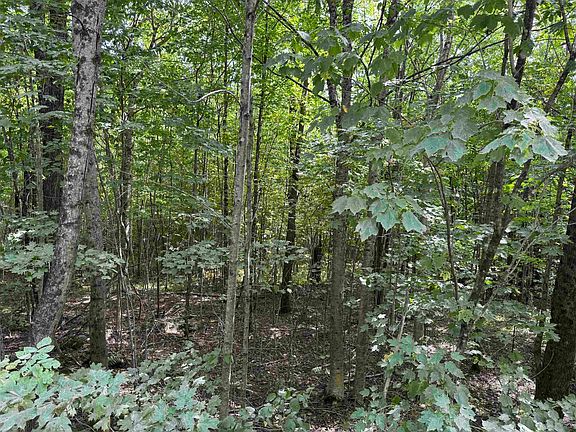 5th image of 000 Granby Road