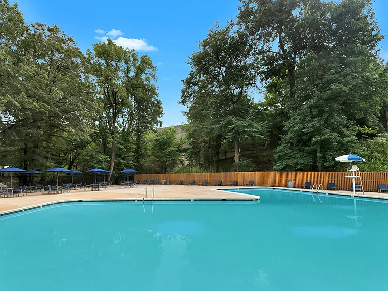 Olympic-sized Swimming Pool