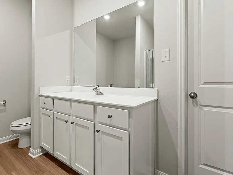 Master bathroom vanity.