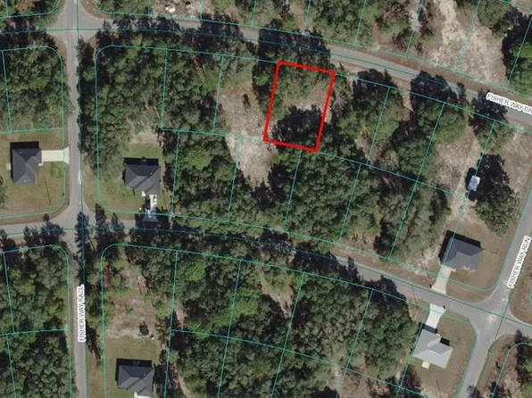 LOT 11 Fisher Way Dr Lot 11, Ocklawaha, FL 32179