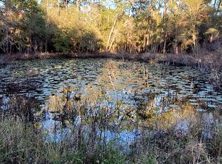 0 Southeast Ave, Ridge Manor, FL 33523