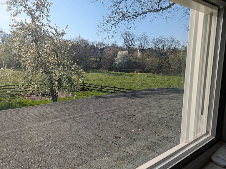 View out master bedroom
