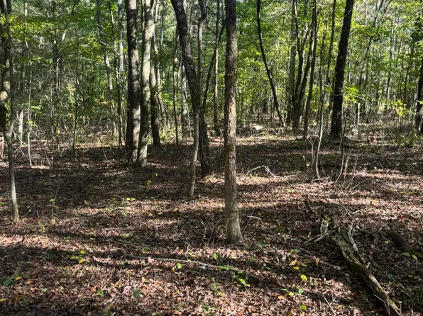 0 Old Lead Mine Valley Rd SW, Cleveland, TN 37311