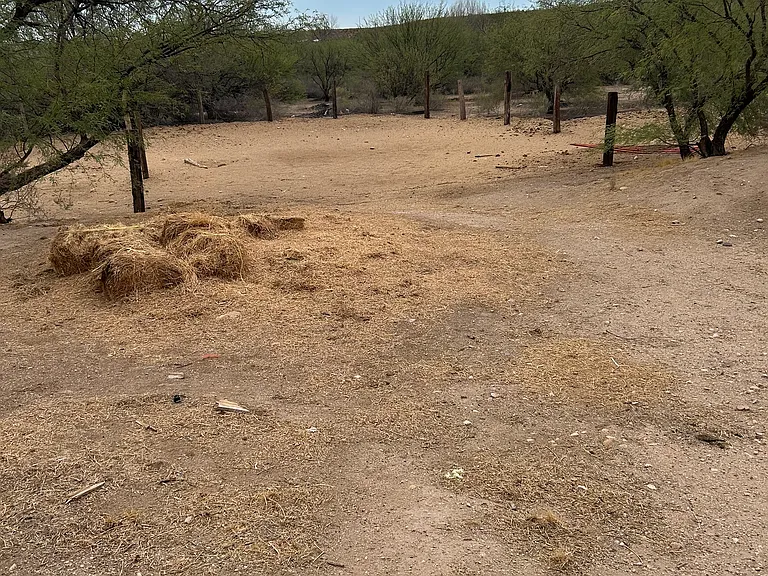 1805 N Desert Tortoise Rd — Photo 17
