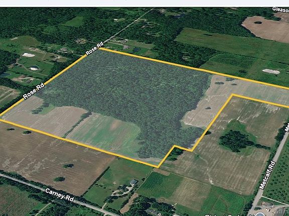 3rd image of Rose Rd