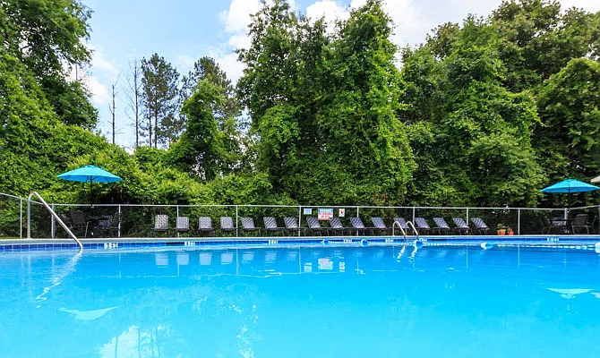 Relaxing Pool