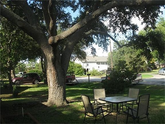 Beautiful front yard with trees