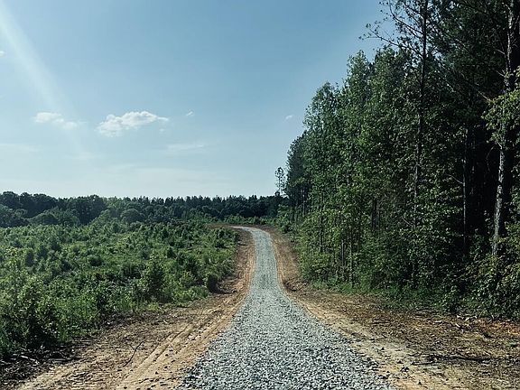 2nd image of 0 Hayes Mill Rd