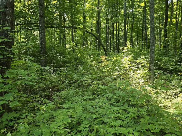 Redridge Creek Rd Unit 12, Atlantic Mine, MI 49905