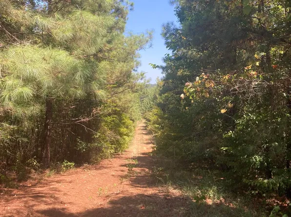 550 Tippett Rd, Homer, LA 71040