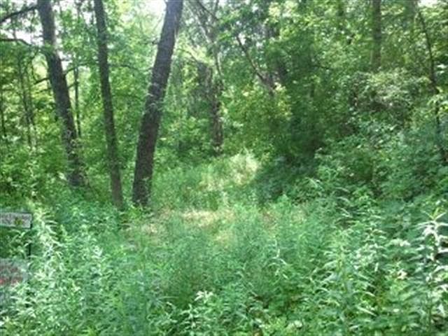 1st image of LOT 5 Whitetail Trl