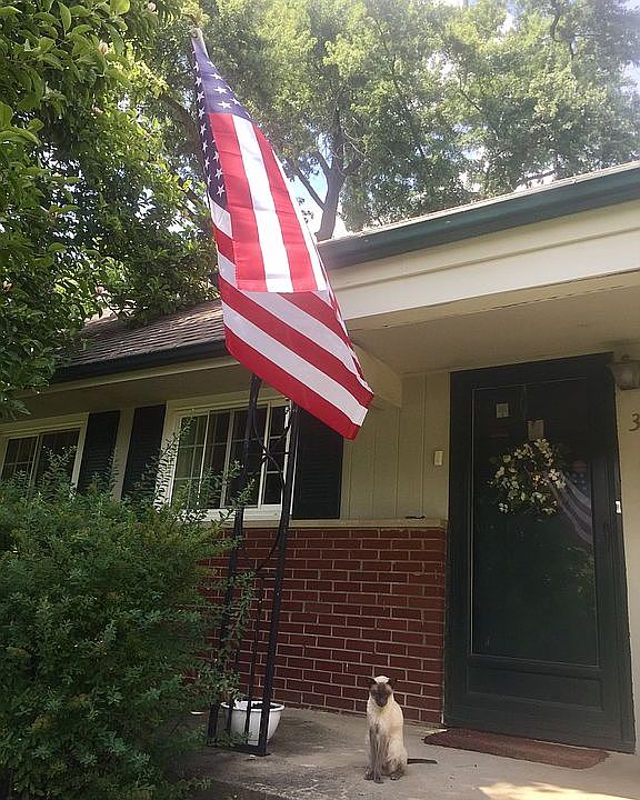 1st image of 3094 Kellner Pl