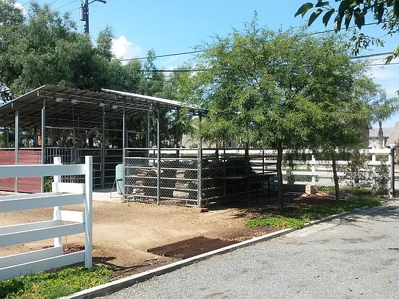 Horse Stalls