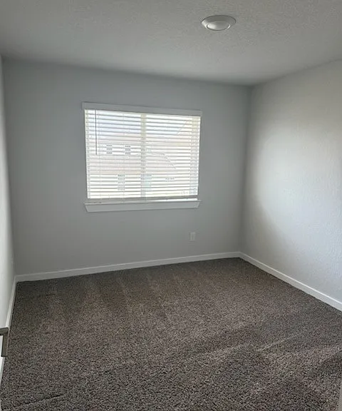 1206 Amistad Loop — Photo 10