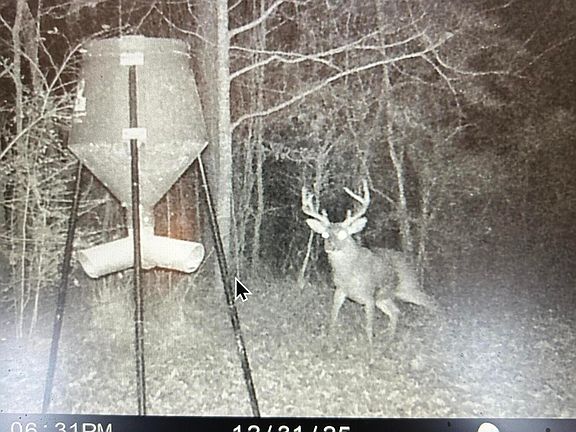 5th image of 1026 Mount Olive Rd