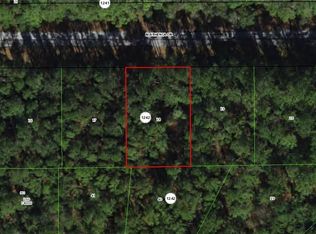9244 N Athenia Dr, Citrus Springs, FL 34434