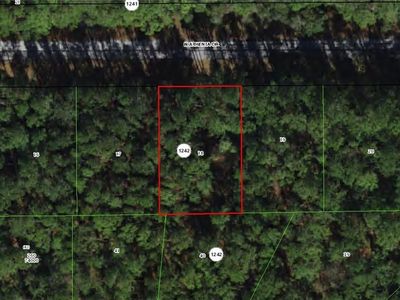 9244 N Athenia Dr, Citrus Springs, FL, 34434