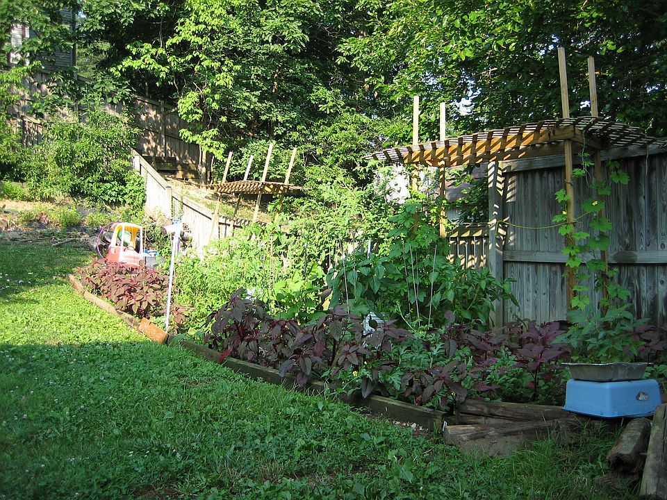Vegetable Garden