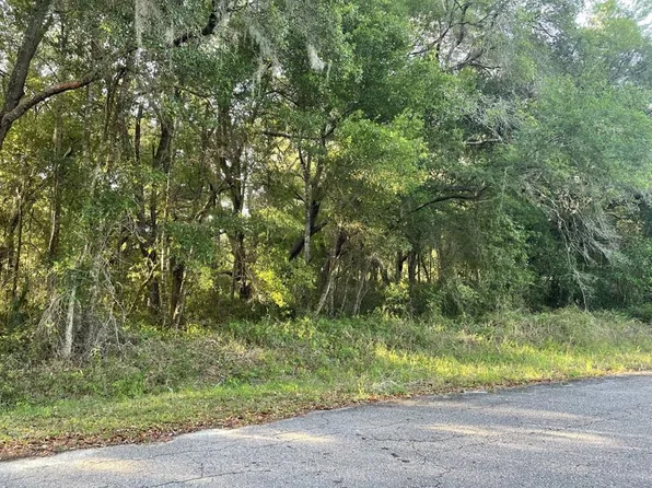 Guava Lane Pl Lot 12, Ocklawaha, FL 32179