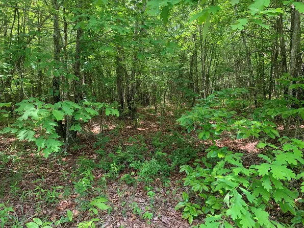 23 Williams Dr, Spencer, TN 38585