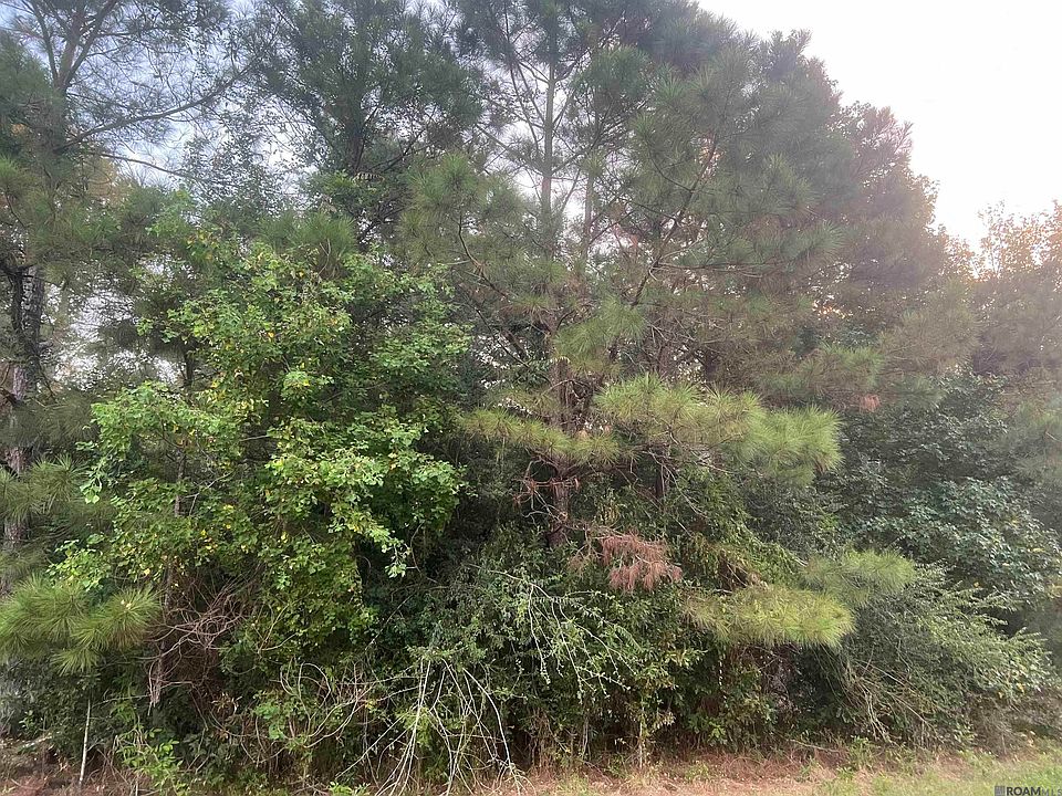 1st image of 6 Hepzibah Rd #A