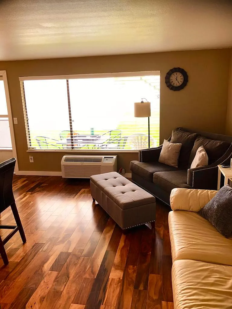 1 bed, 528 sqft, $800 — Photo 4