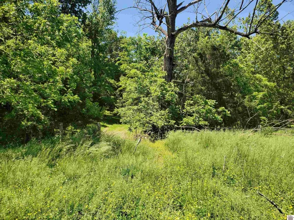 1445 Bethany Church Rd, Princeton, KY 42445