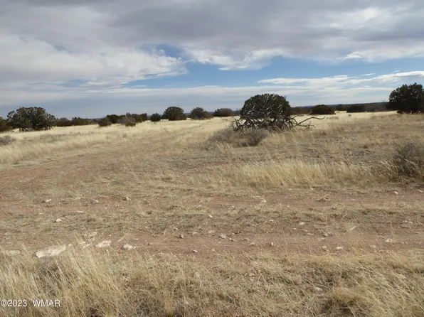 201 Nine #6E, Heber, AZ 85928