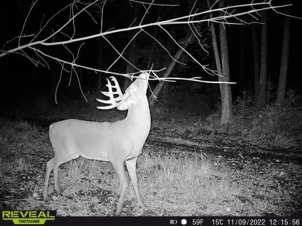 County Road C, Hatley, WI 54440