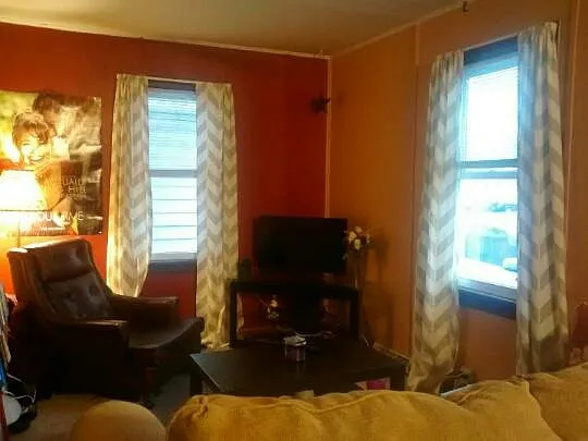 1 bed, 350 sqft, $675 — Photo 3