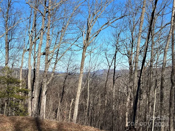 258 Black Bear Ridge Trl, Zirconia, NC 28790