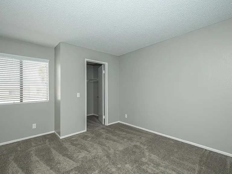 Palm Court Apartment Homes — Photo 60