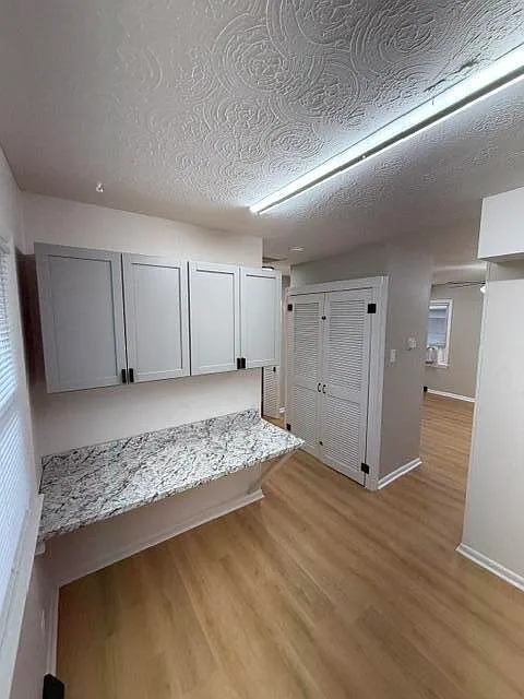 1 bed, 1.0 bath, 505 sqft, $900 — Photo 4