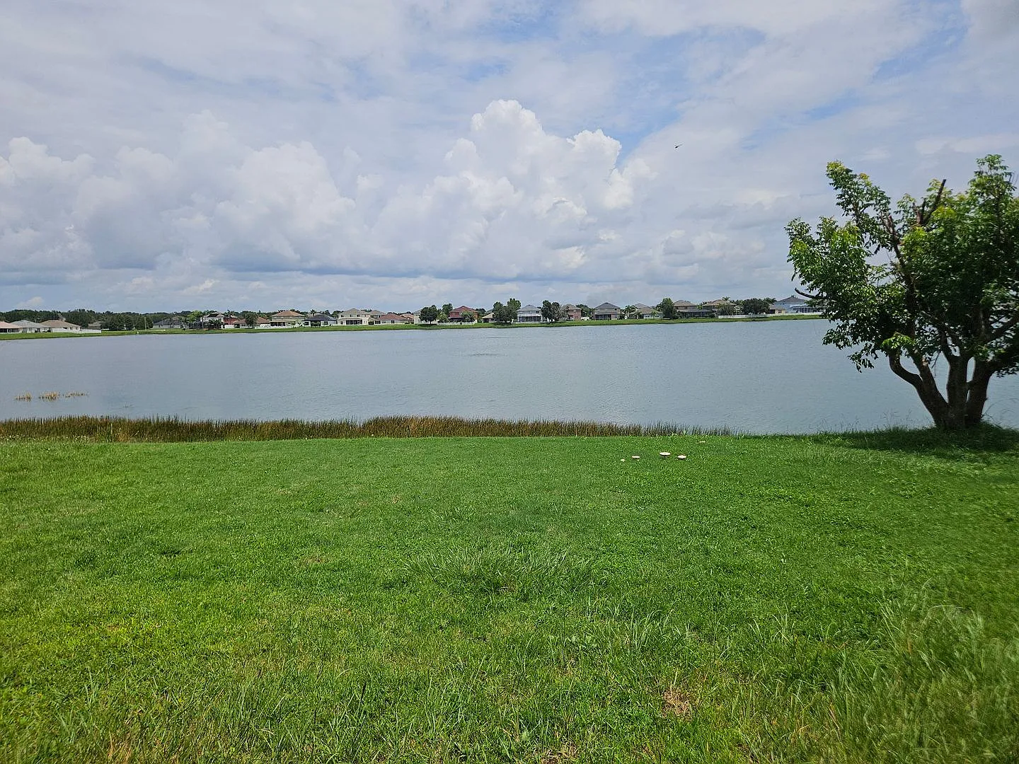 Lake View 3-Bedroom Home with No Rear Neighbors — Photo 3