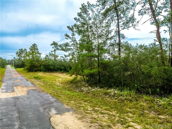 8109 N Wayside Ave, Citrus Springs, FL 34433