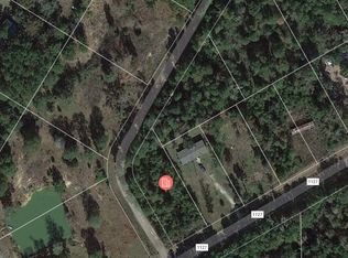 2841 Fm 1127 Rd, Shepherd, TX 77371