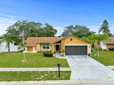 8230 Rose Petal Ct, Port Richey, FL, 34668