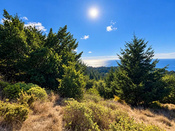 244 Hillside Dr, Whitethorn, CA 95589