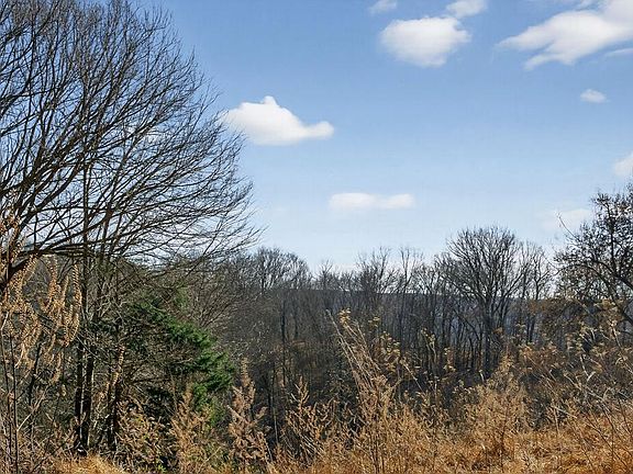 50th image of this home