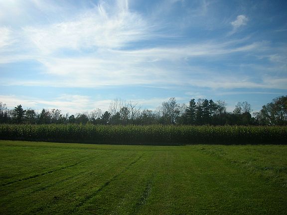 beautiful open back yard