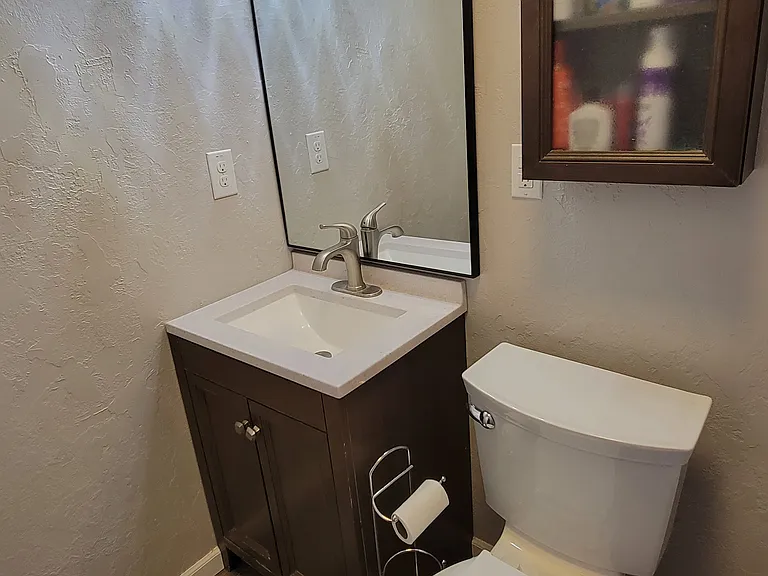 Main floor hallway bathroom