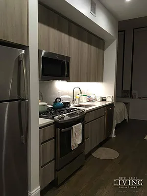 Rented by NY Living Solutions | media 23