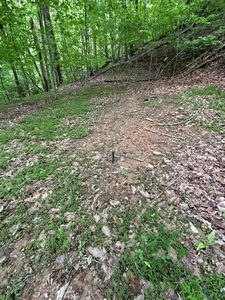 LOT 24 True Love Mountain Rd, Young Harris, GA, 30582