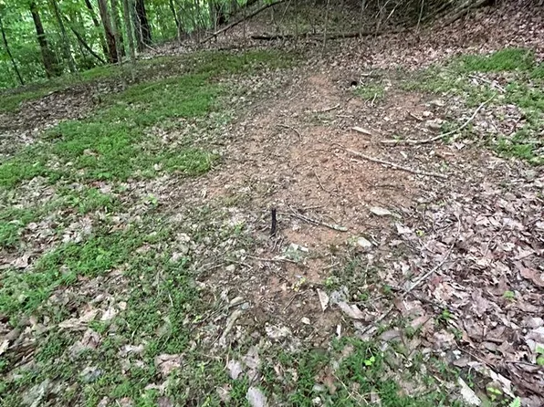 LOT 24 True Love Mountain Rd, Young Harris, GA 30582