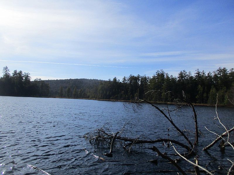 5th image of FOREST LAKE Road