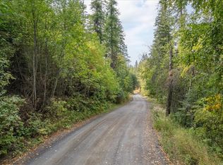 109XX S Forney Rd, Mica, WA 99023