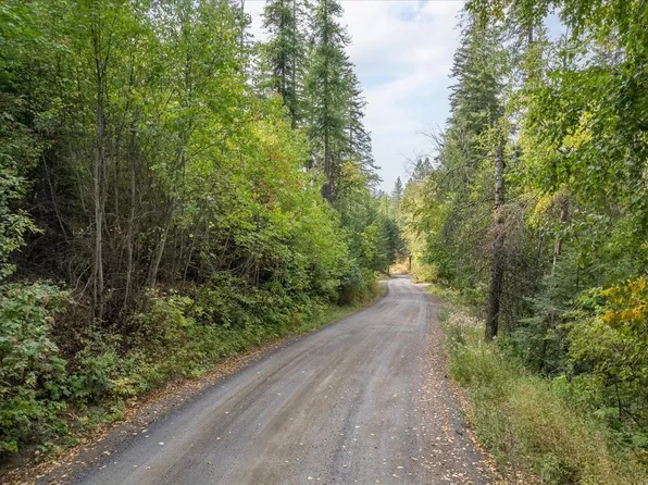 109XX S Forney Rd, Mica, WA 99023